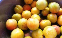 水果/松茸/猕猴桃航空托运