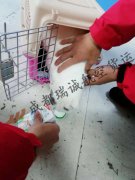 成都至杭州的宠物托运