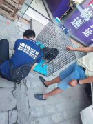 成都至洛阳宠物空运