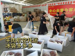 夏季高温冷链牛肉航空托运