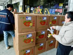 冬季草莓航空速运：锁住鲜醇，鲜达无界